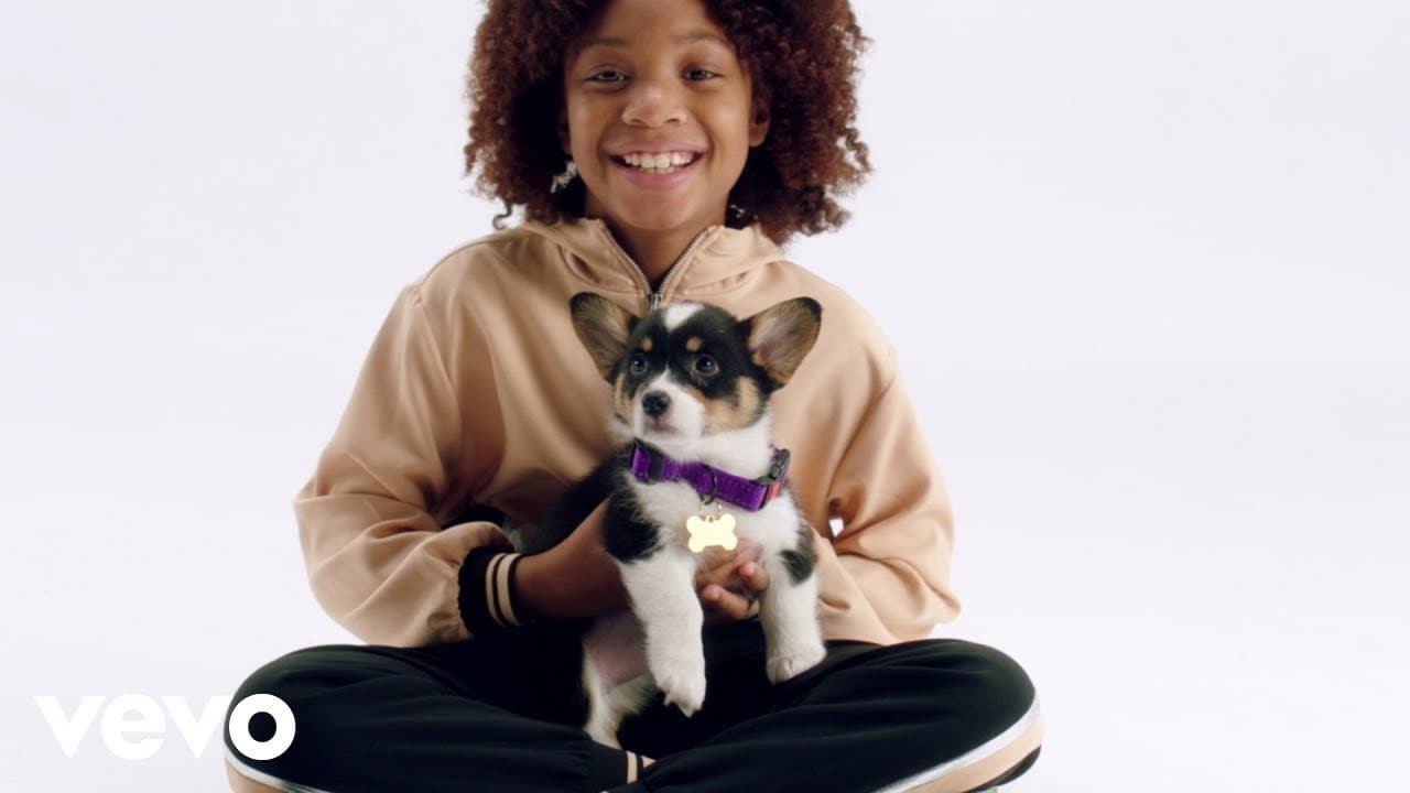 Puppy for Hanukkah backdrop