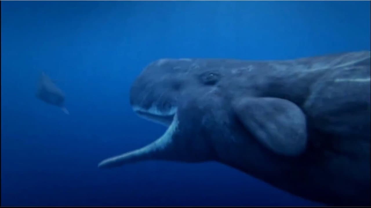 Ocean Odyssey backdrop