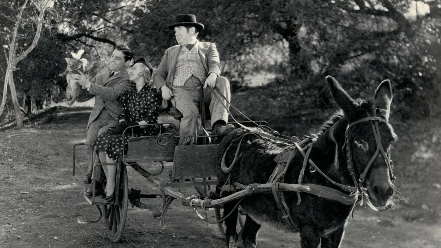 Laughing Irish Eyes backdrop