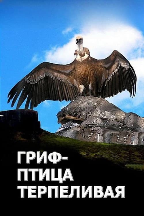 The Vulture Is a Patient Bird